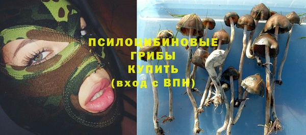 ПСИЛОЦИБИНОВЫЕ ГРИБЫ Абаза