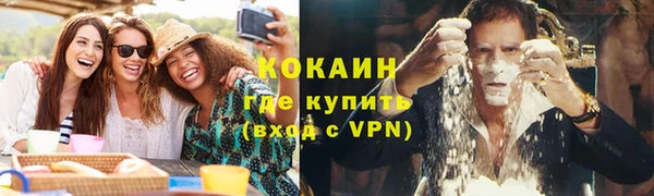 ПСИЛОЦИБИНОВЫЕ ГРИБЫ Абаза